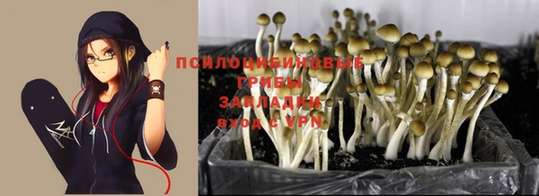 COCAINE Алексеевка