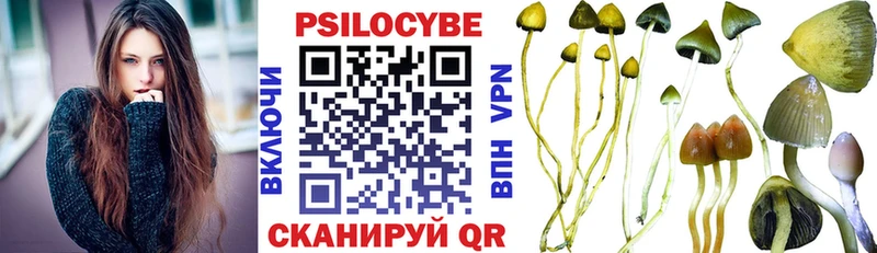 Псилоцибиновые грибы MAGIC MUSHROOMS  купить   Ардон 