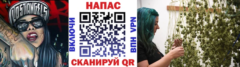 магазин    Ардон  Бошки Шишки марихуана 